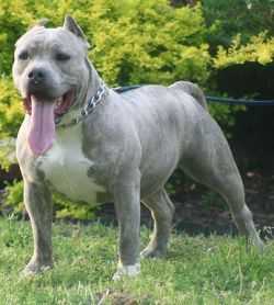 UPS/KOP/PITTSTOPSWBA SWANZEE