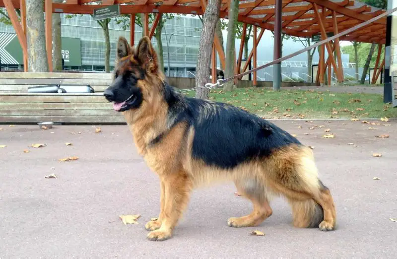 Bacara De Tierratoni