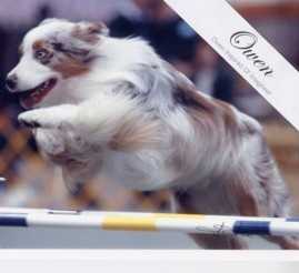 Owen Inspired of Imagineer