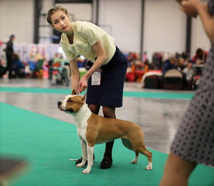 FAITER ILUSION STRONG SPIRIT