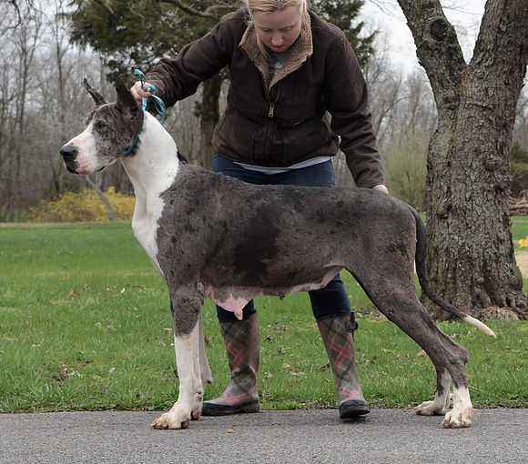 Breken's One Night Stand