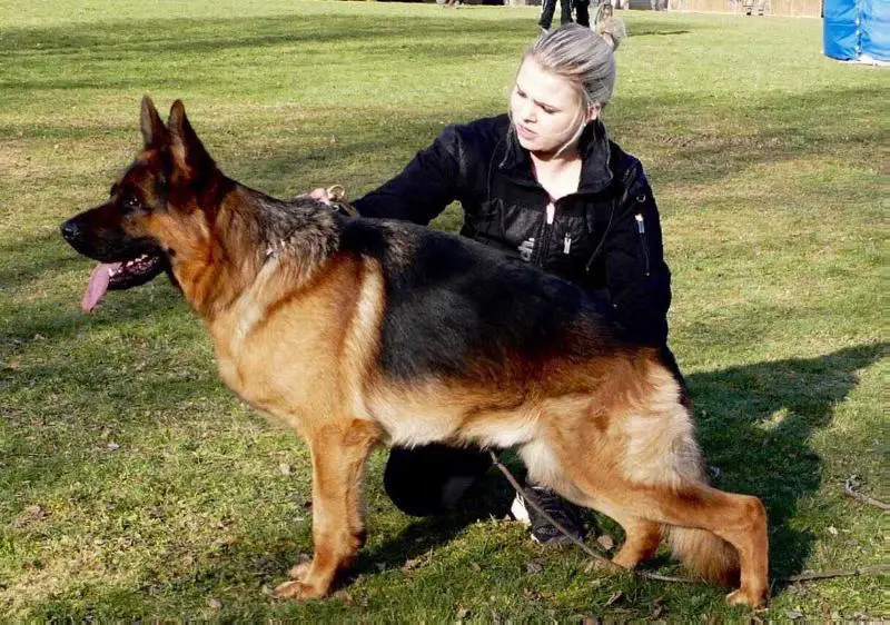 SG Duran di Casa Cirillo