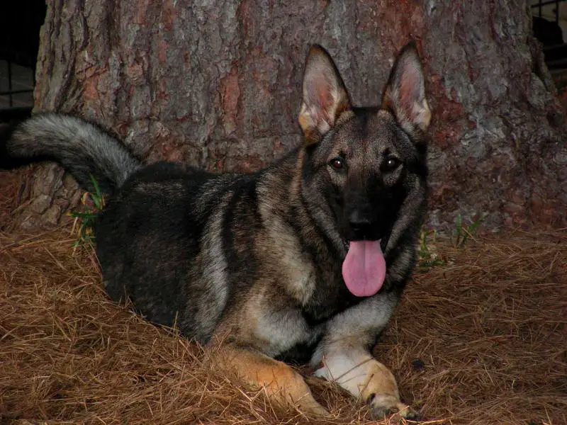 Hannika Ivanka Vom Kraftwerk