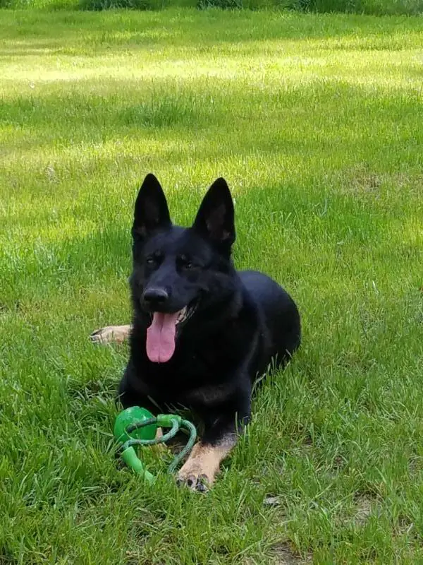 Emma z Veronikinho dvora