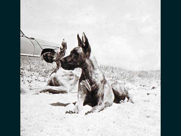 Anitra von den Wendenburg