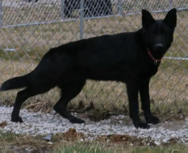 Sherry Vonderhaus Rosenbaum