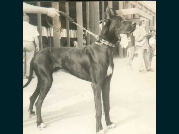 CH Puk de la Templerie