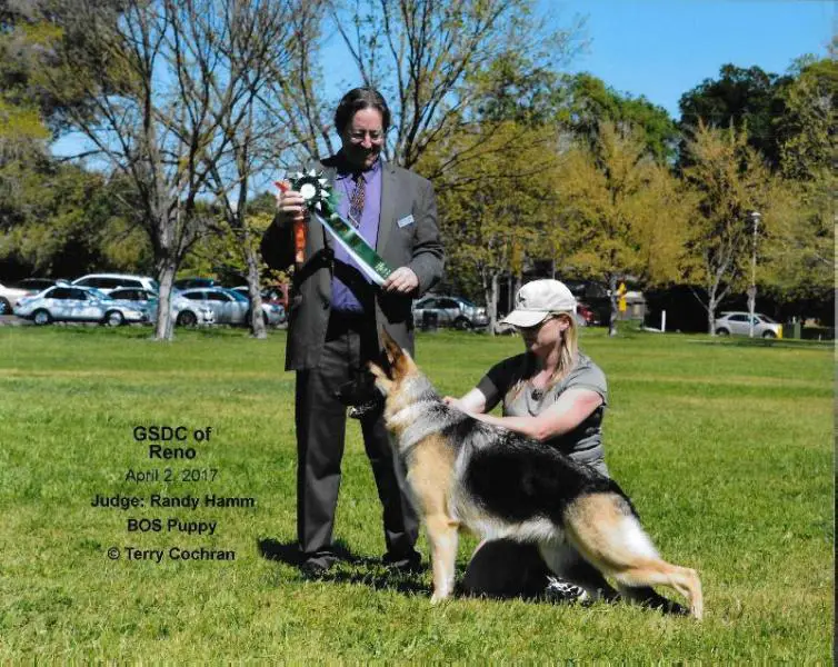 DAE GCH Pleasant Hill's Crystal Lake v True North