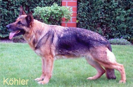 V-LGZS Fee von T-Kö