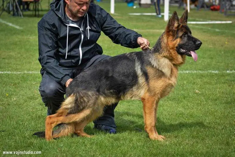 WW1 CRO SIEGER, WW1 MAC SIEGER Xantino Grunemont