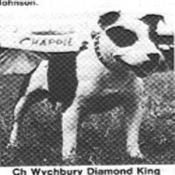 CH Wychbury Diamond King