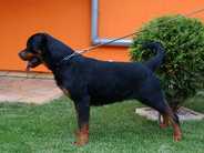 Maxee vom Grossen Tal