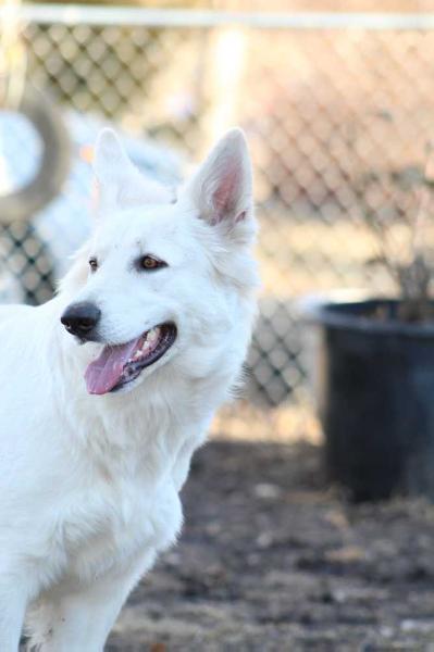 Baughman's Bit Of Winter