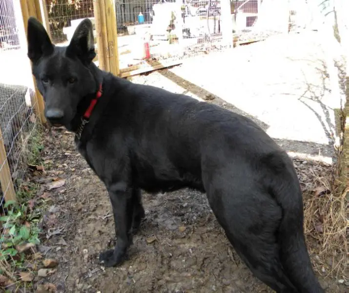 Holly Alessia Crouch