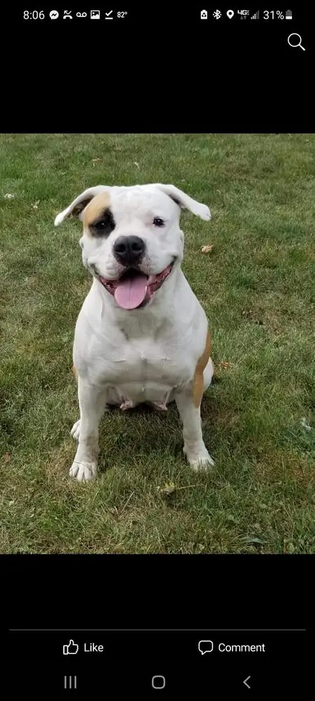 Jagers' Lexi Lou of KLK