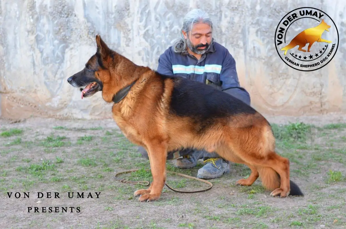 PASCAL VON DER KOCAELİ