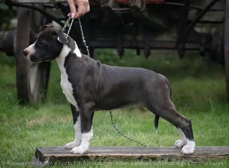 Future Is Now S Almaznogo Ostrova