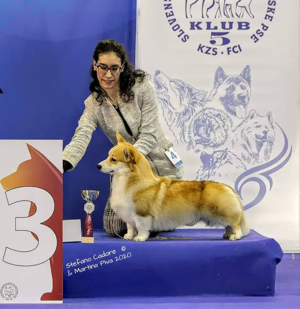 Daredevil's Mr Sandman from Staken