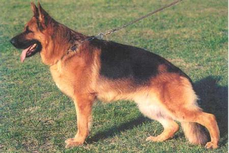 VA Grando dei Profeti