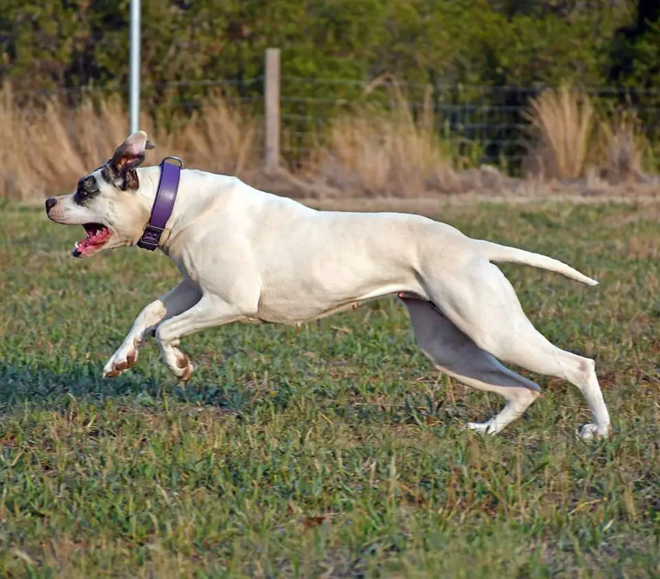 Southside's Fury Road