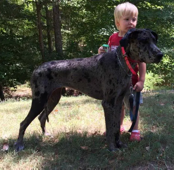 Swampside Fiona dreams of chocolate