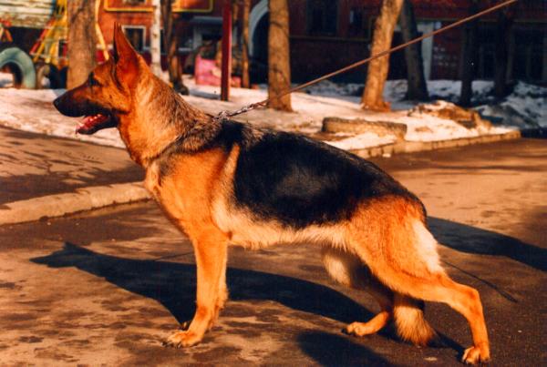 SG Gina von Gross-Marl