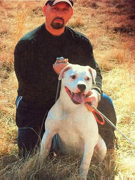 Grecis / Raging bulls bella