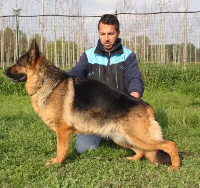Ecate Dell'Emilius