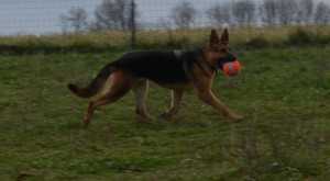 Ursala Vom Selten Ruhe