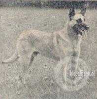 Berry (Dhr. P.M. Frijns, Maastricht)