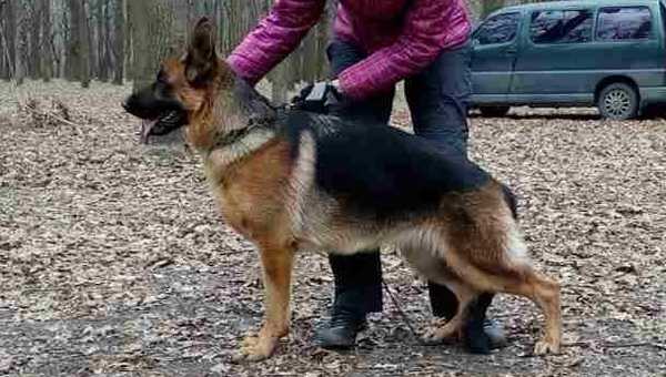 Malta Schwarzes Meer