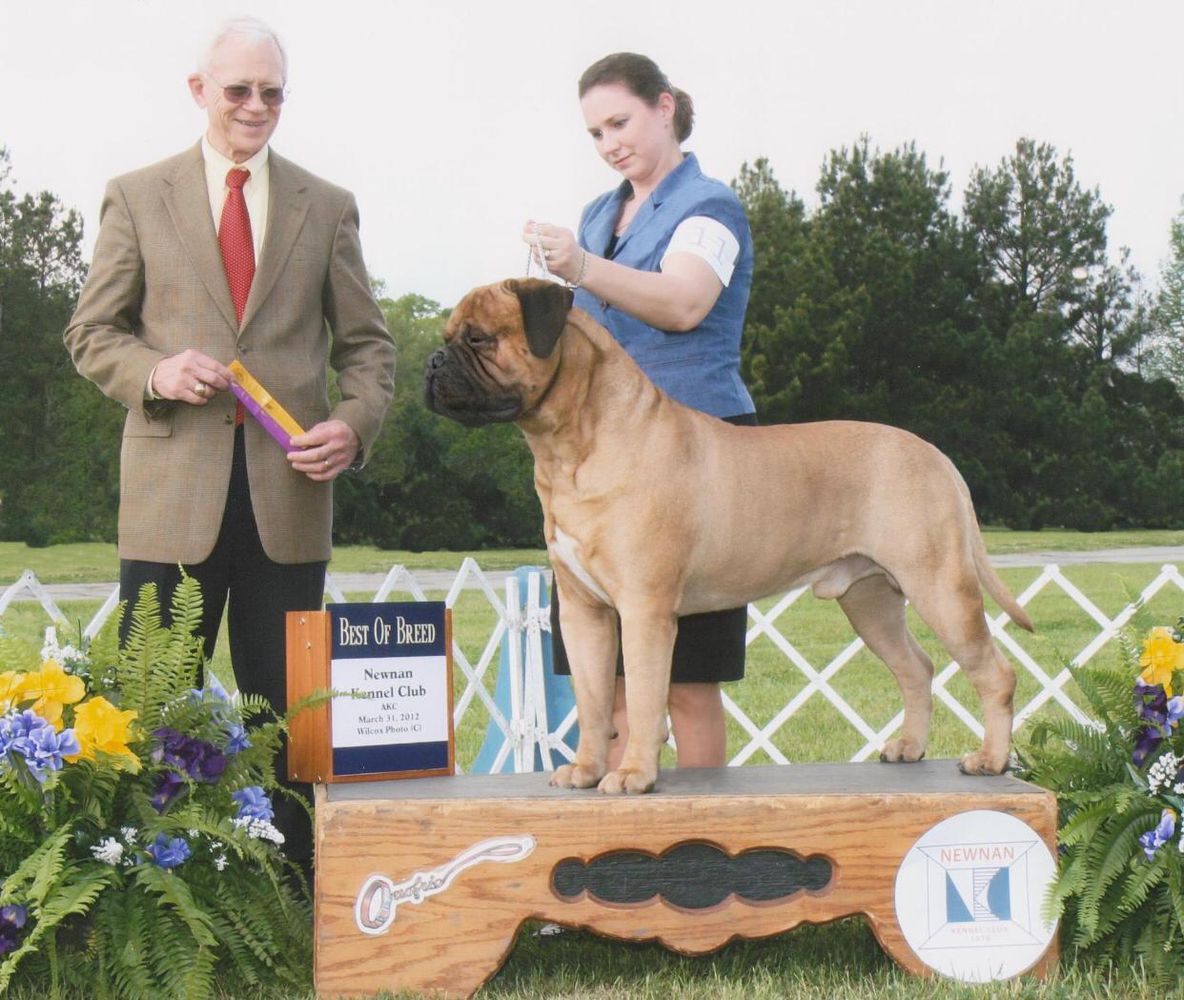GCH CH TNT´s Ground Braker