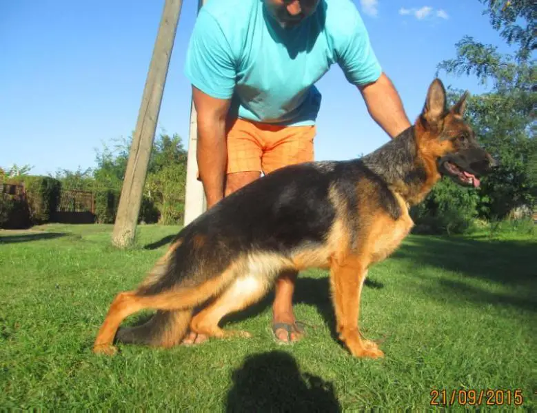 5,2xcac Sg-1 Nataly od tiganjice (2014)