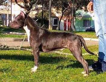 Rainbow Fire Talk To The Town