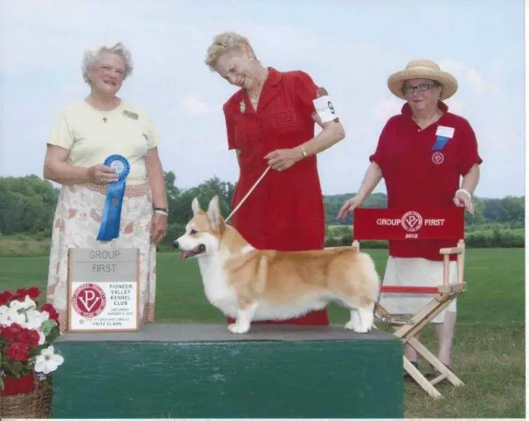 Nchanted Silk Lining