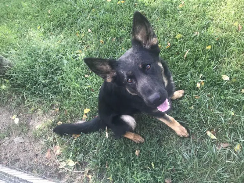 Ava Von Liechtenstein Teague