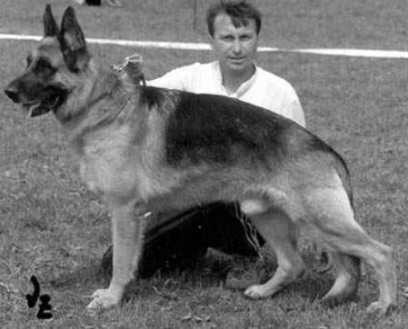 Augustow aus Agrigento