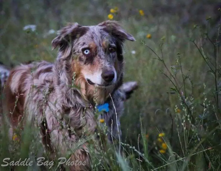 Sunray Hanging Tree Cowgirl Kate