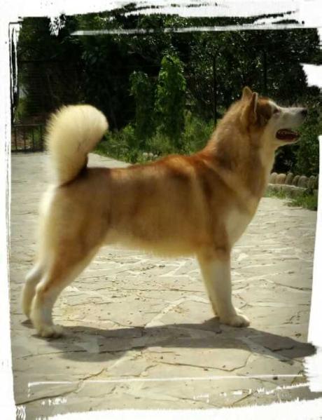 AZKEN PORTU KOMUNISTA