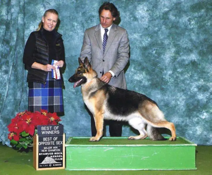 CH Caretti's Devil in Disguise