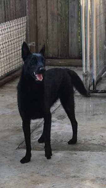 Arleth Montiel ( MORGANA VON AYCE )