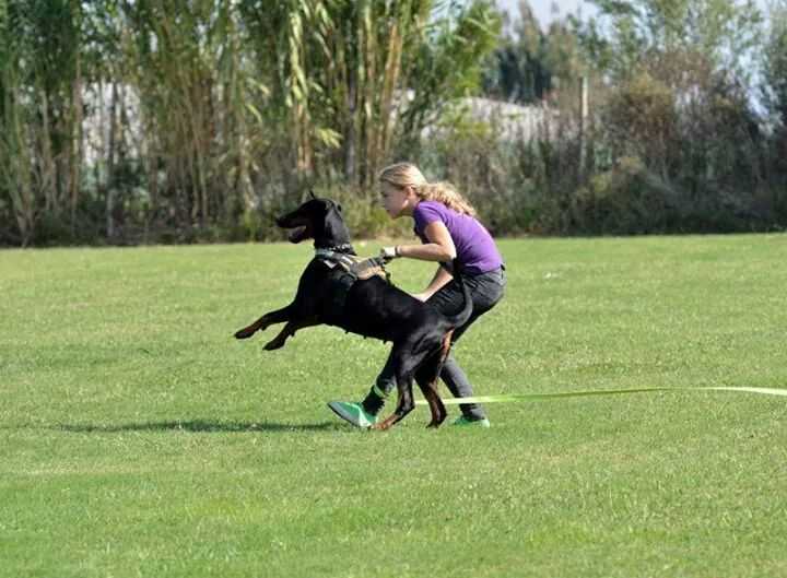 Xena Di Prisconte