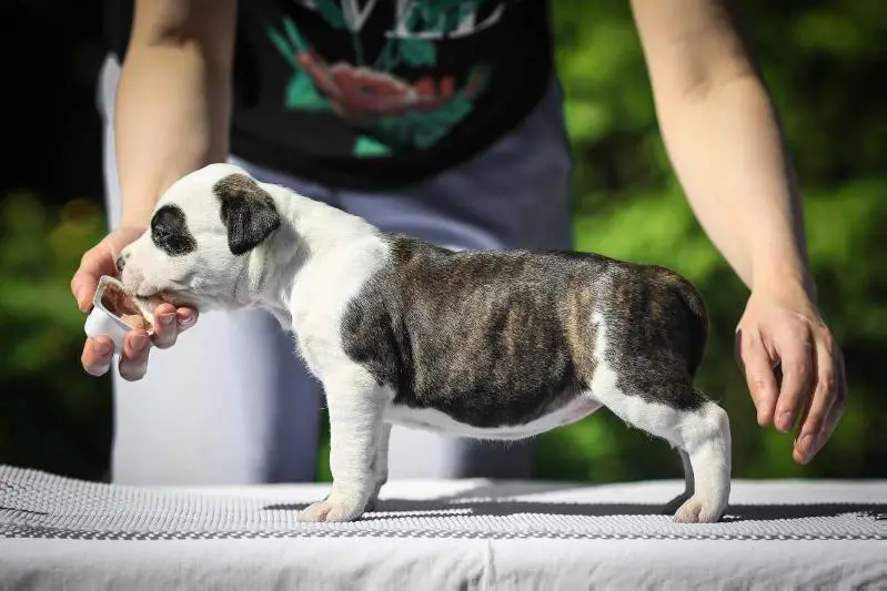 Victory Way Sealed With a Kiss