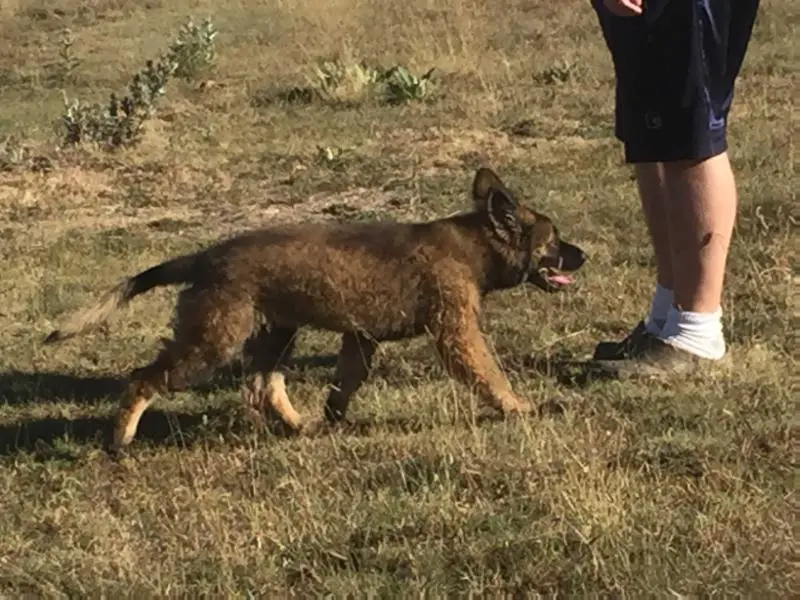 Alexis von WindSwept