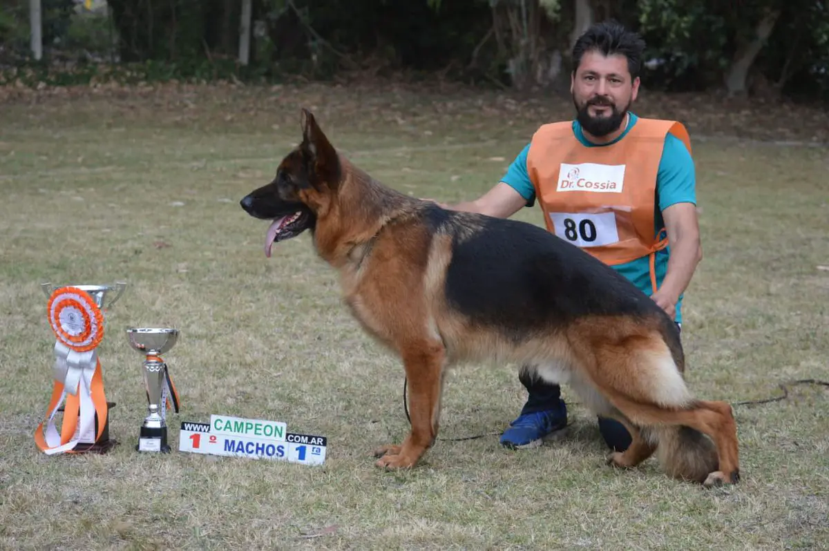 SG9 Zeus von del Canne