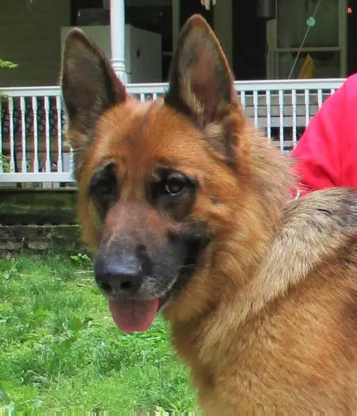 Arrans Liusaidh vom Jagerhaus