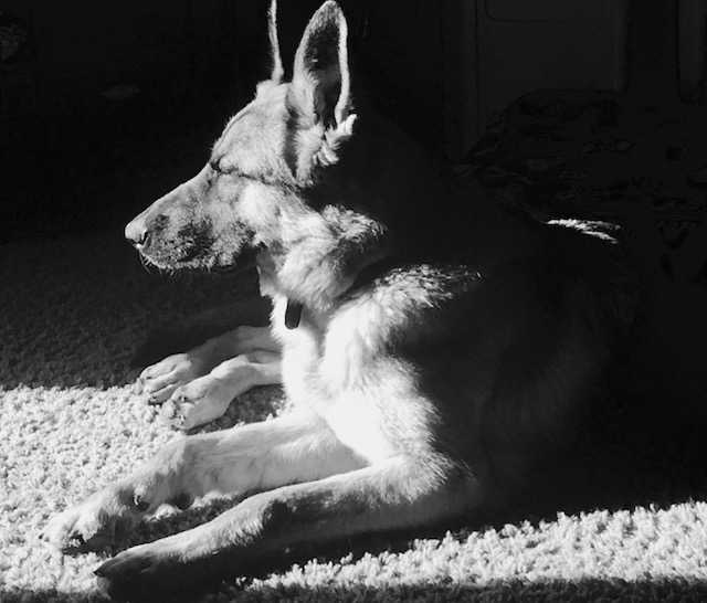 Stella Mae Von True Grit