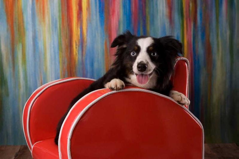 Anita's Sky Blue Hope