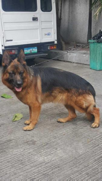 Kaiser Von Sonnenschein