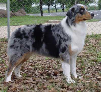 Hug-Me's Cinderella Story